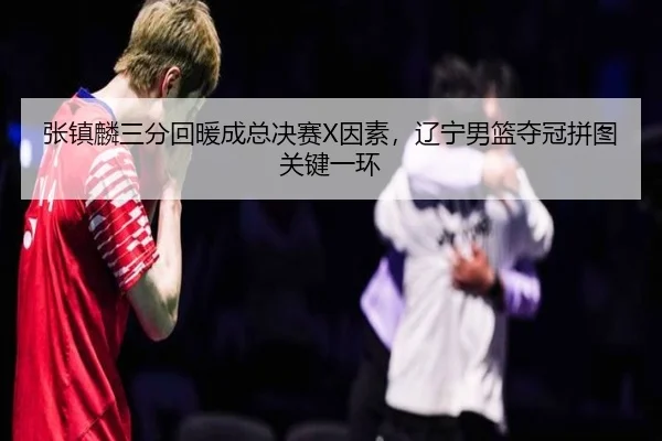 张镇麟三分回暖成总决赛X因素，辽宁男篮夺冠拼图关键一环